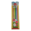 Pencil Set ( 5 in 1 )